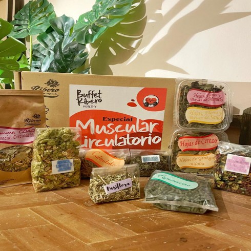 Buffet Ribero Healthy MUSCULAR-CIRCULATORIO