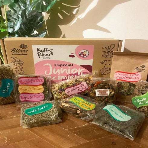 Buffet Ribero Healthy JUNIOR- CRECIMIENTO