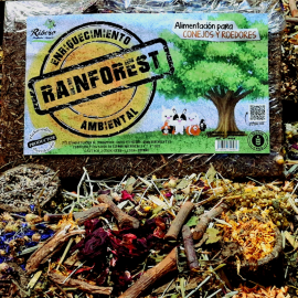 RAINFOREST: Conecta con la Naturaleza