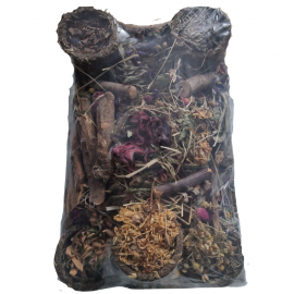 PARQUE INTERACTIVO CON FLORES Y TRONCOS