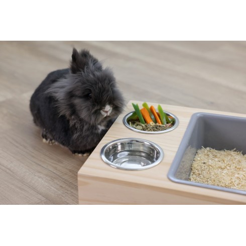Feeding Station and Hygiene Area for Rabbits and Rodents