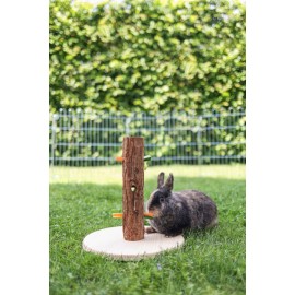Nature Edible Tree for Rodents – Height 30 cm