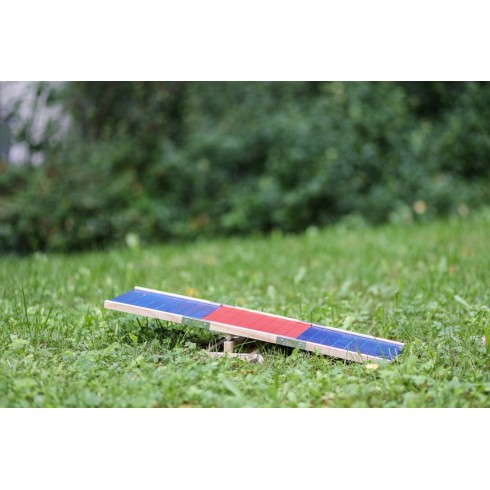 See-Saw for Rabbits and Rodents