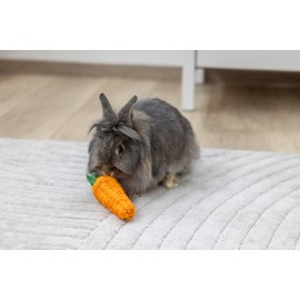 Cenoura de Sisal para Coelhòs e Roedores – 18x5x5 cm