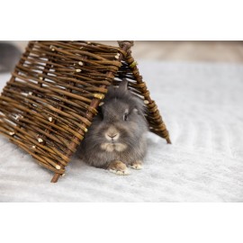 Tipi Nature pour lapins et rongeurs – 37x27 cm