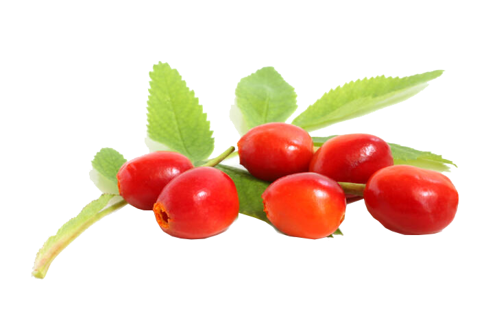 revolution slider image 98