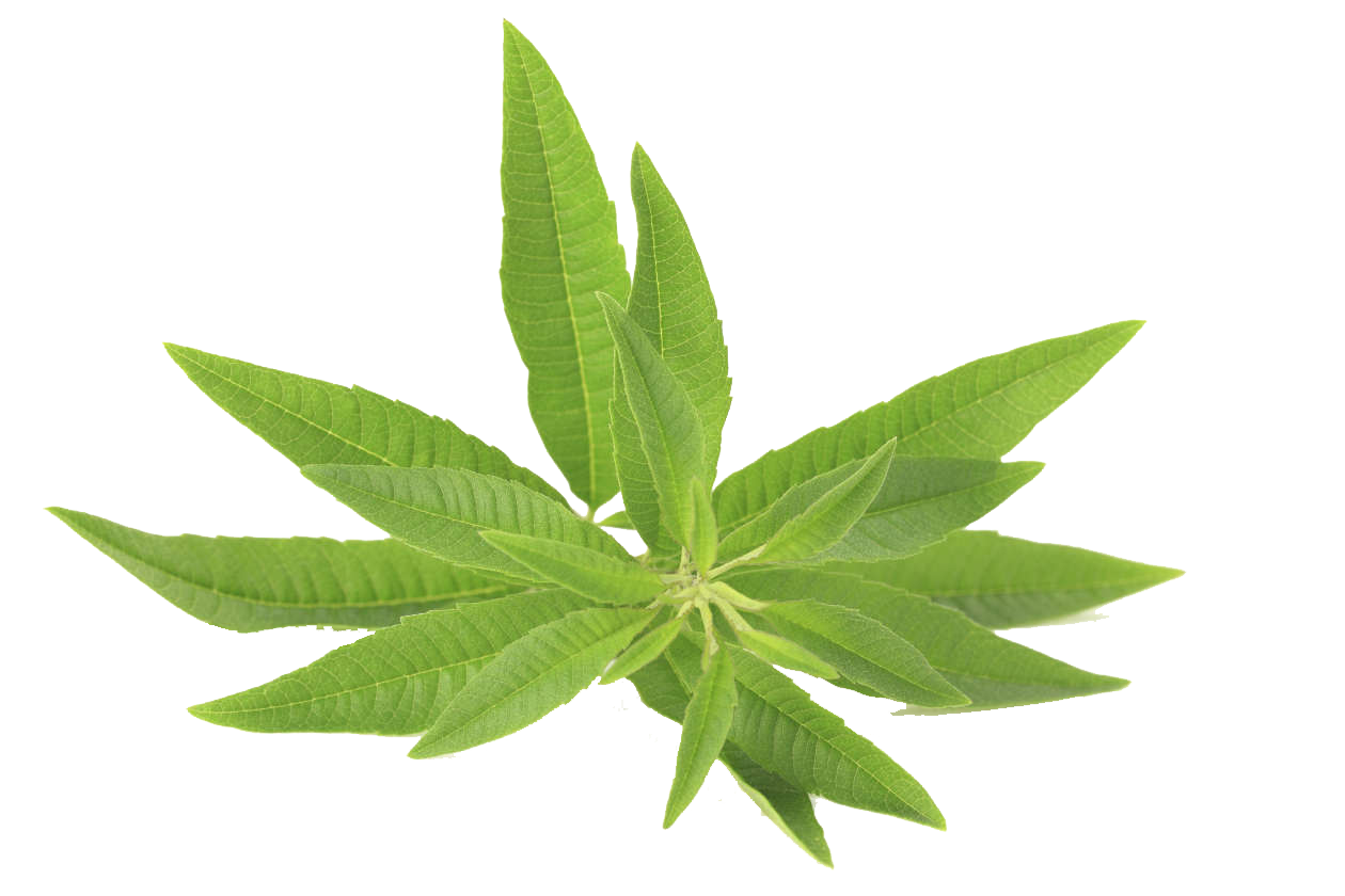 revolution slider image 98